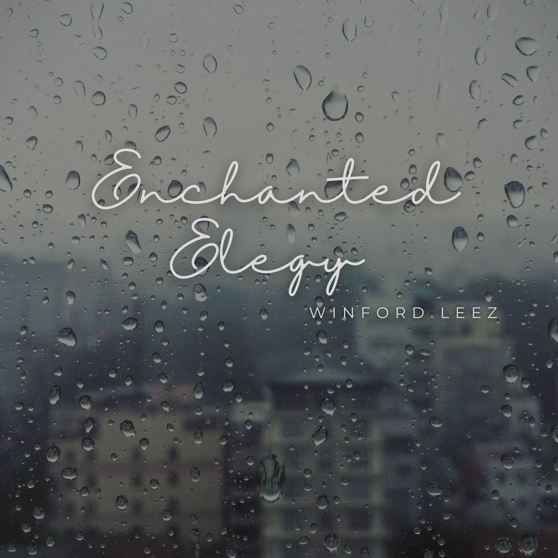 Album cover of Enchanted Elegy