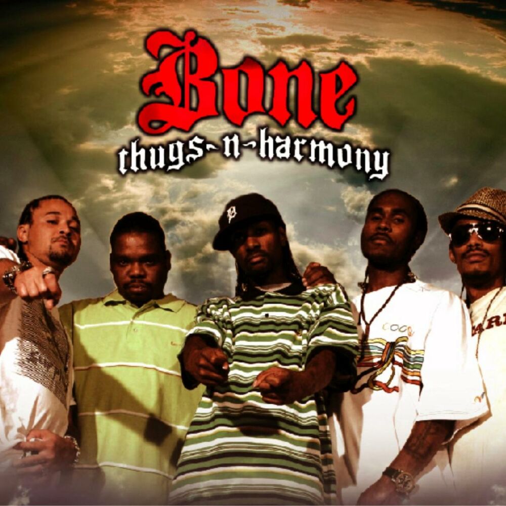 Picture of Thugz Alwayz; the Sequel (Hood Tales)