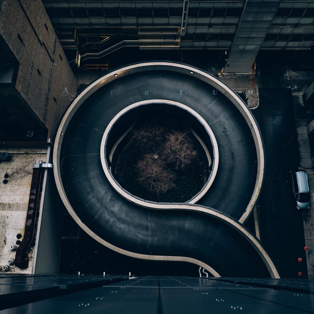 Picture of Gravity Dreams