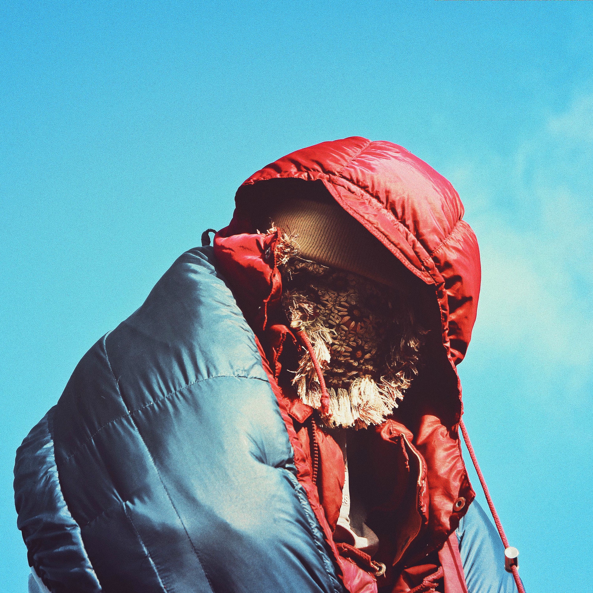 Album cover of Man Zoo