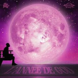 Cover of L'ANNÉE DE GOD