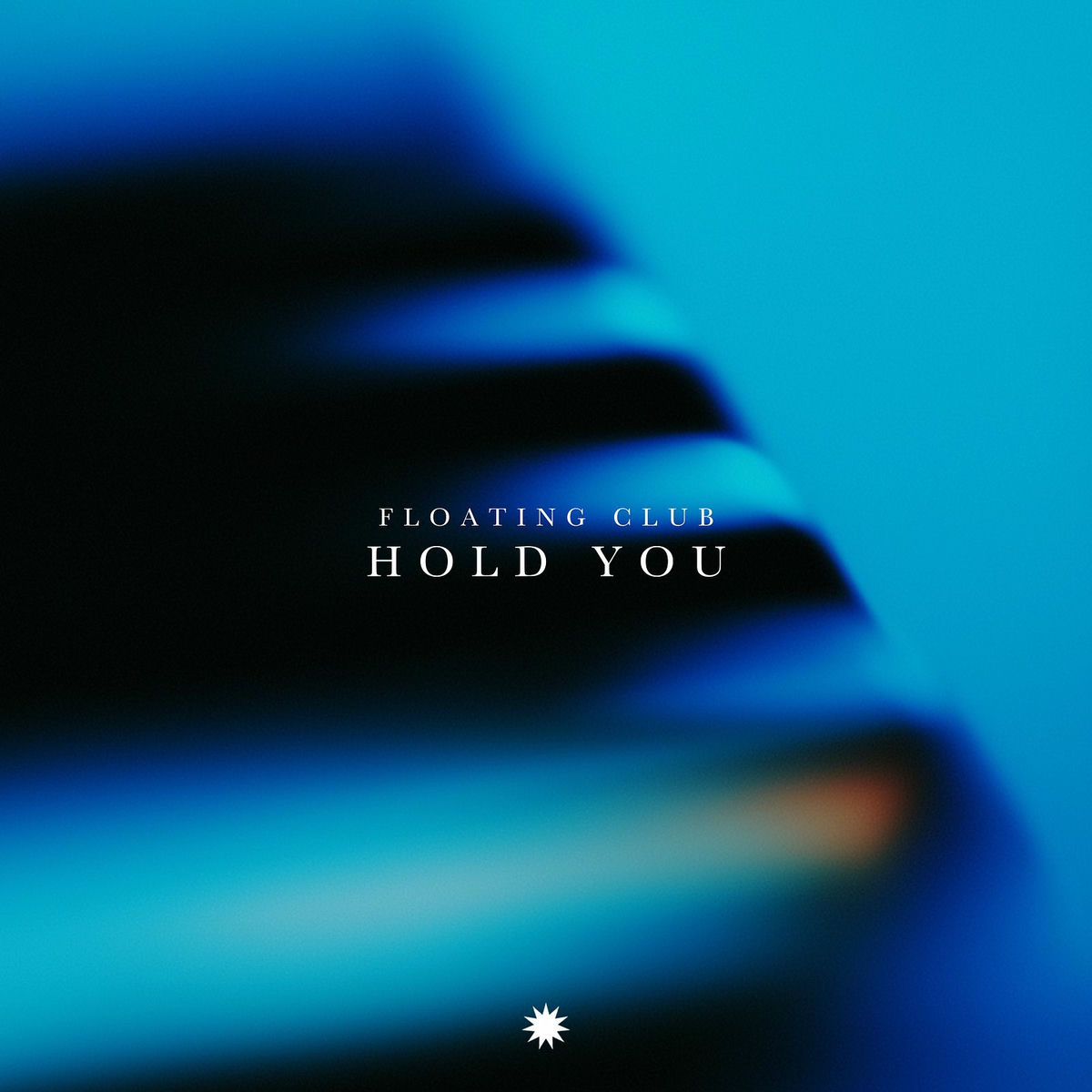 Album cover of Hold You