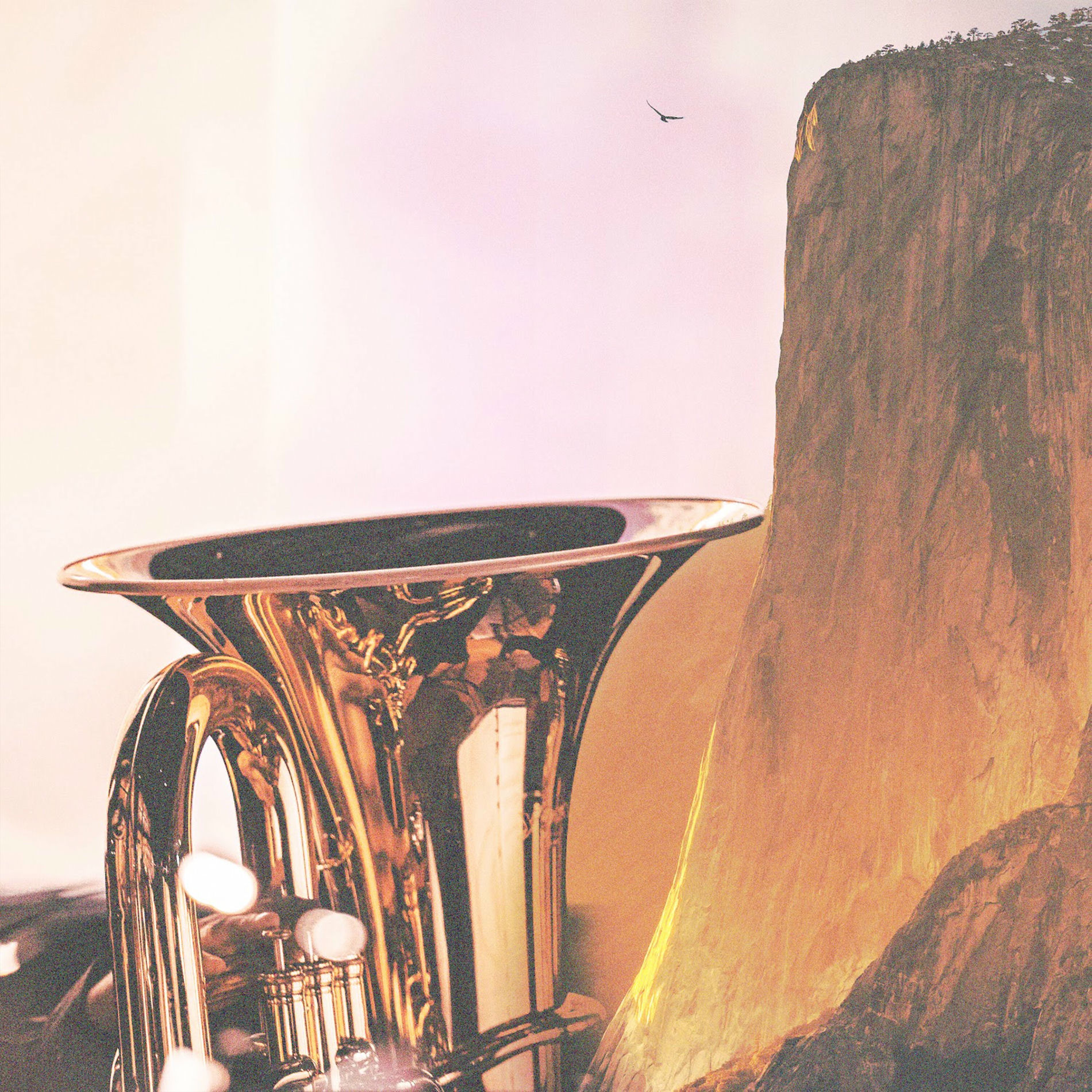 Album cover of Brass Poet