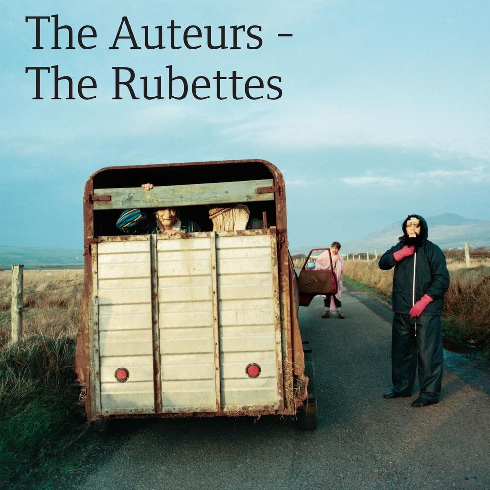 Picture of The Rubettes