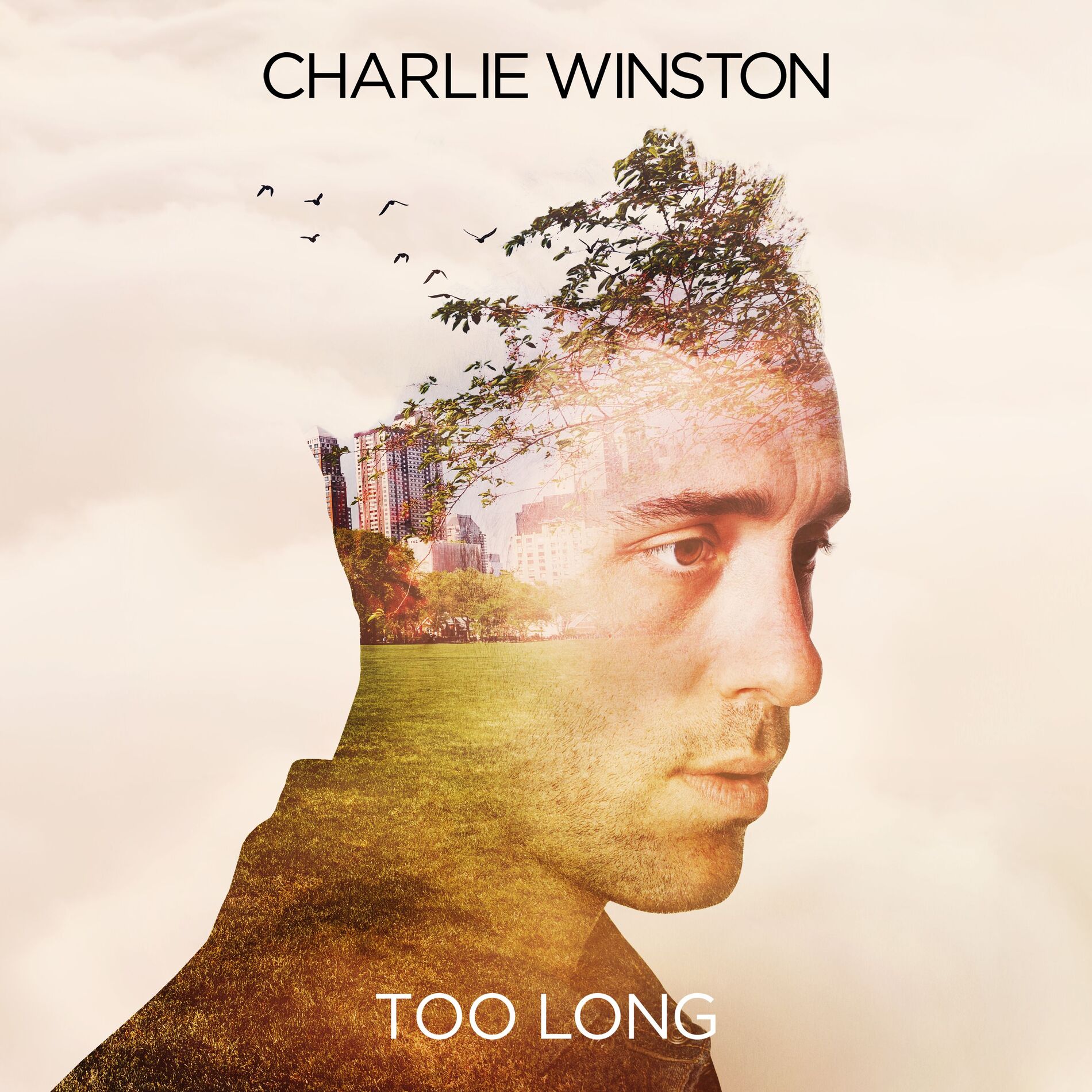Album cover of Too Long