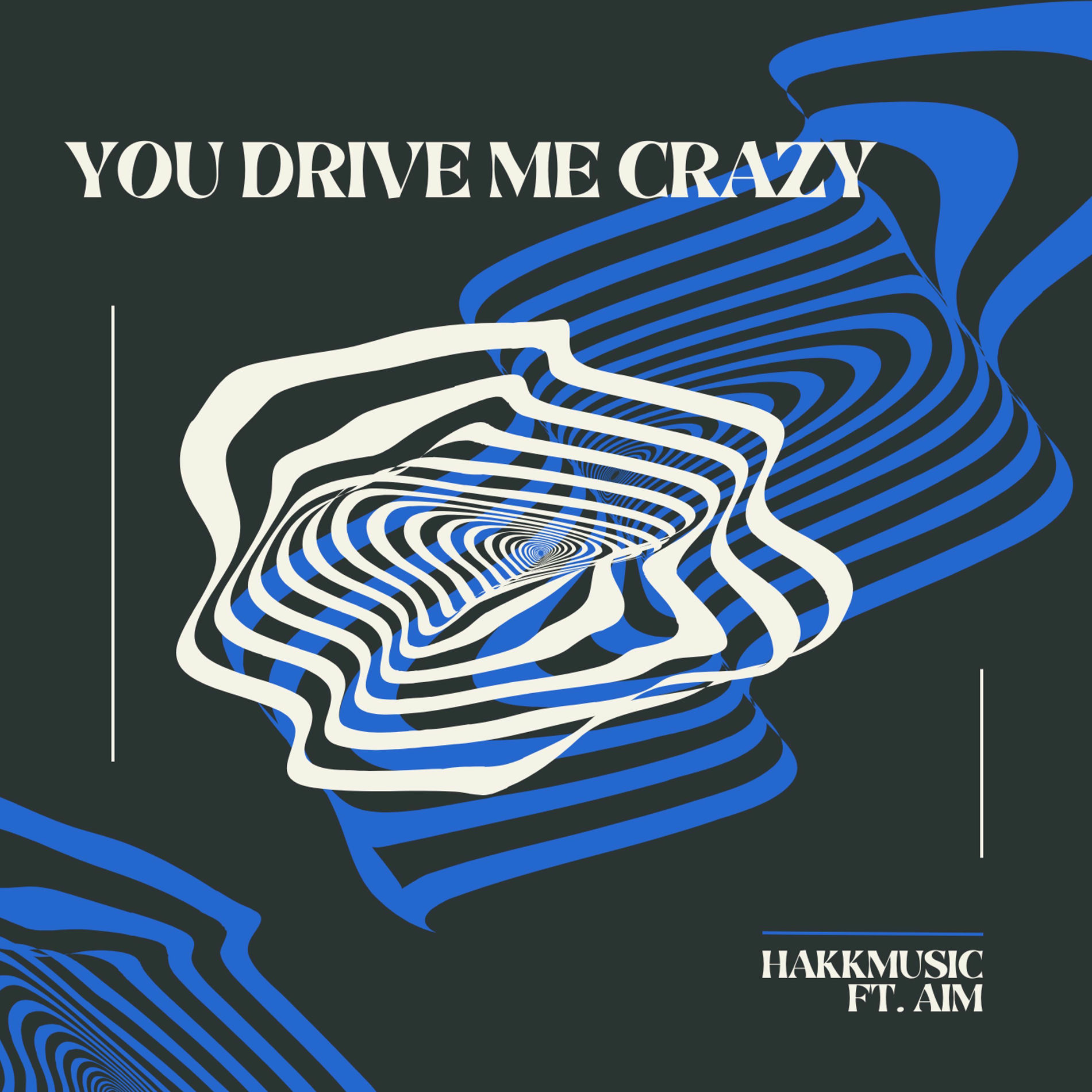Album cover of You Drive Me Crazy