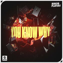 Cover of You Know Why
