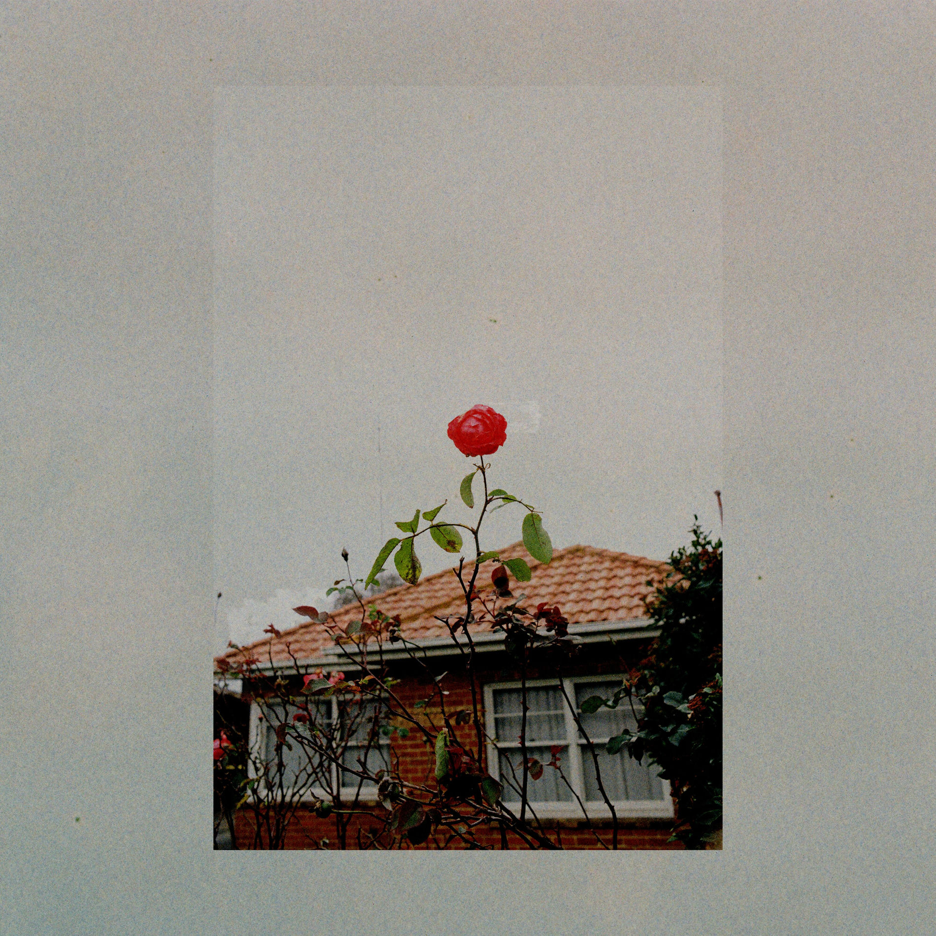 Album cover of Every Time I See You