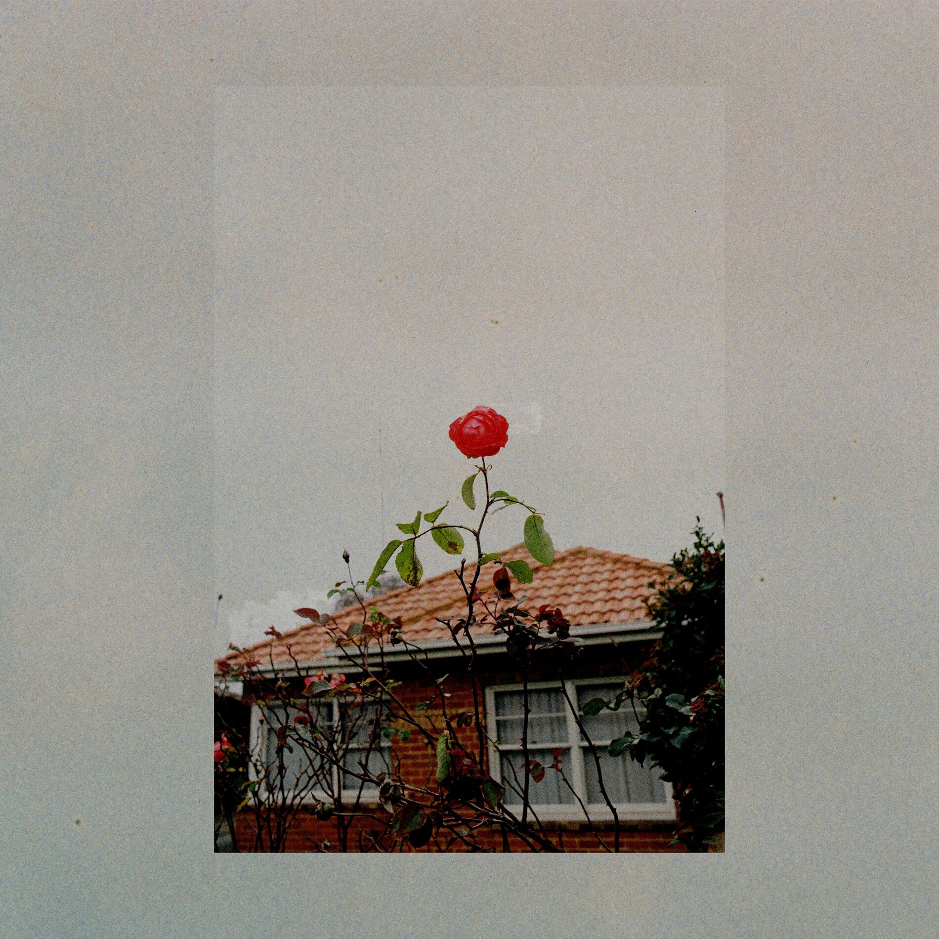 Album cover of Every Time I See You