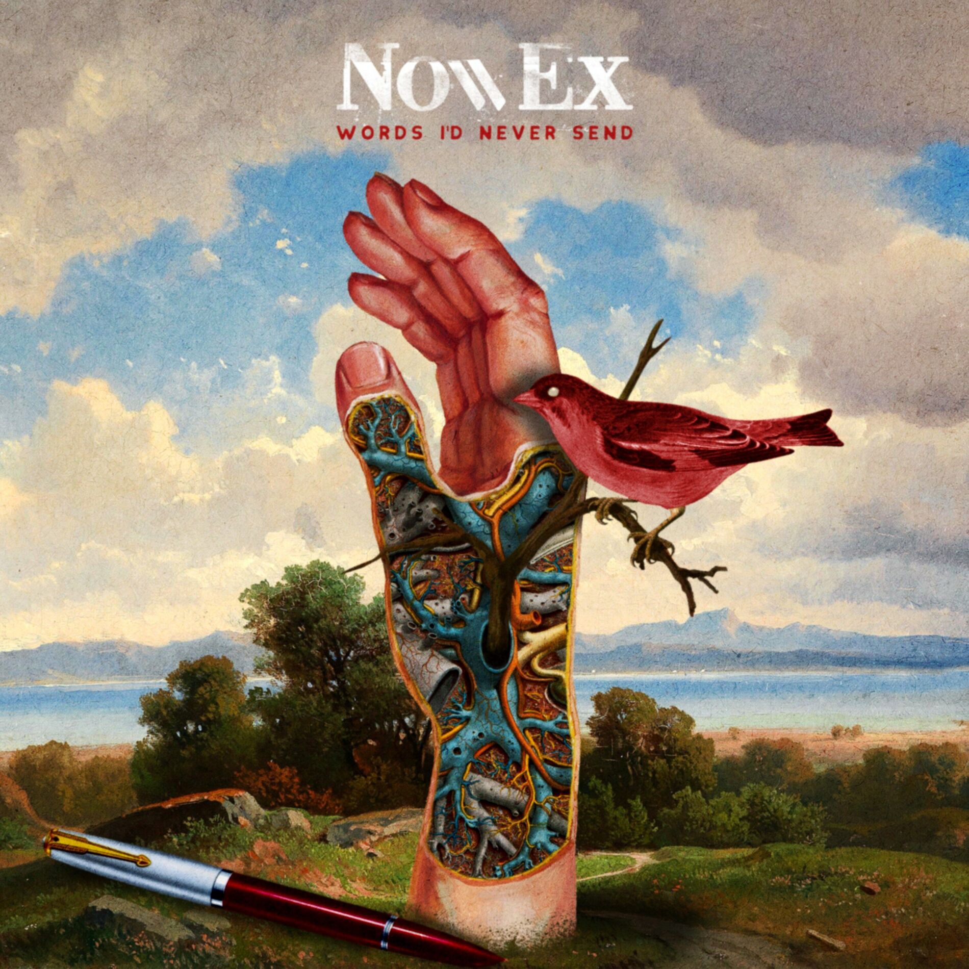 Album cover of Words I'd Never Send
