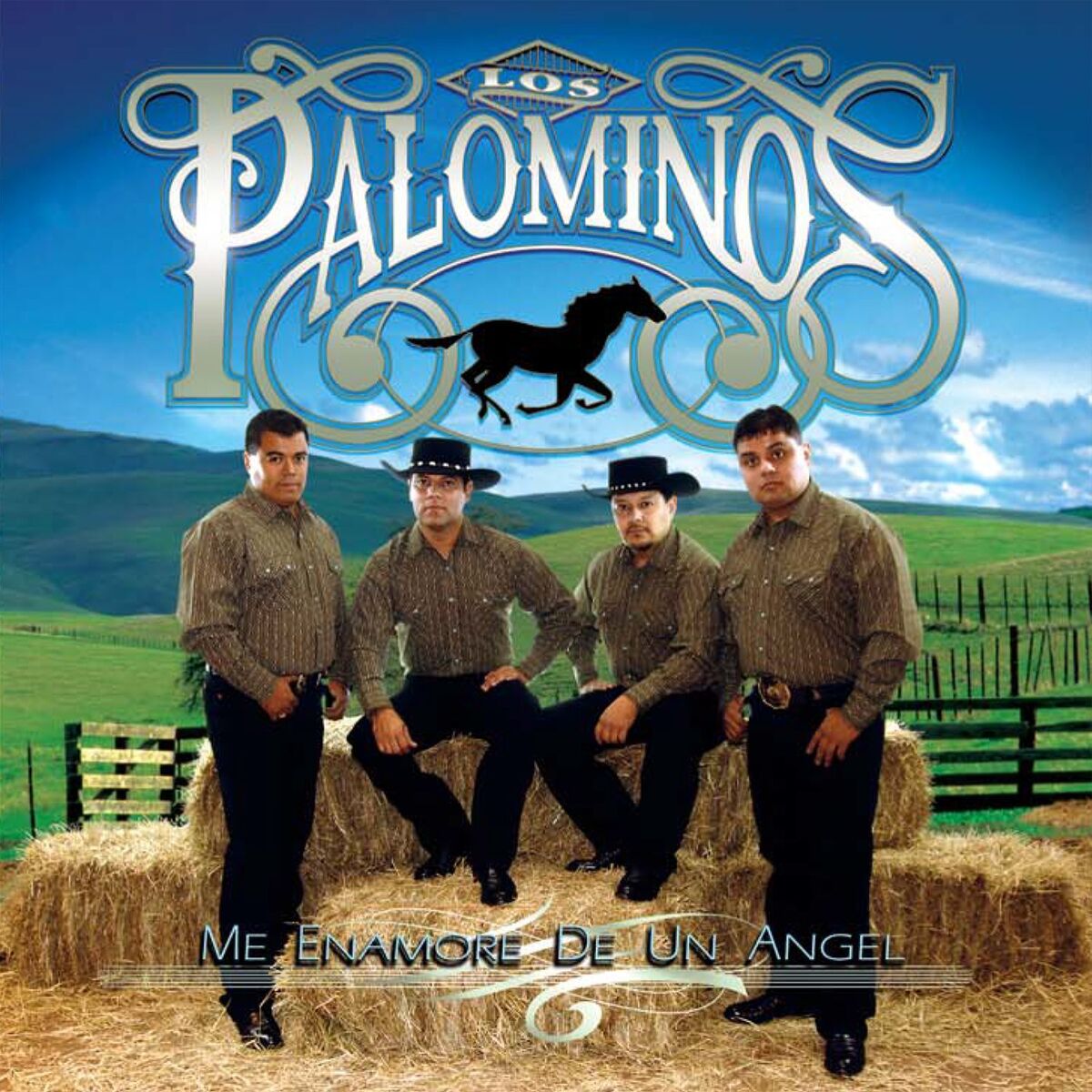Album cover of Me Enamoré de un Ángel