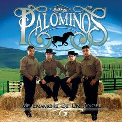 Cover of Me Enamoré de un Ángel