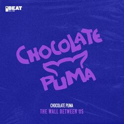 Cover of The Wall Between Us