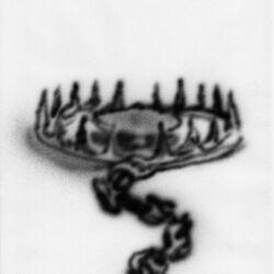 Cover of Bear Trap