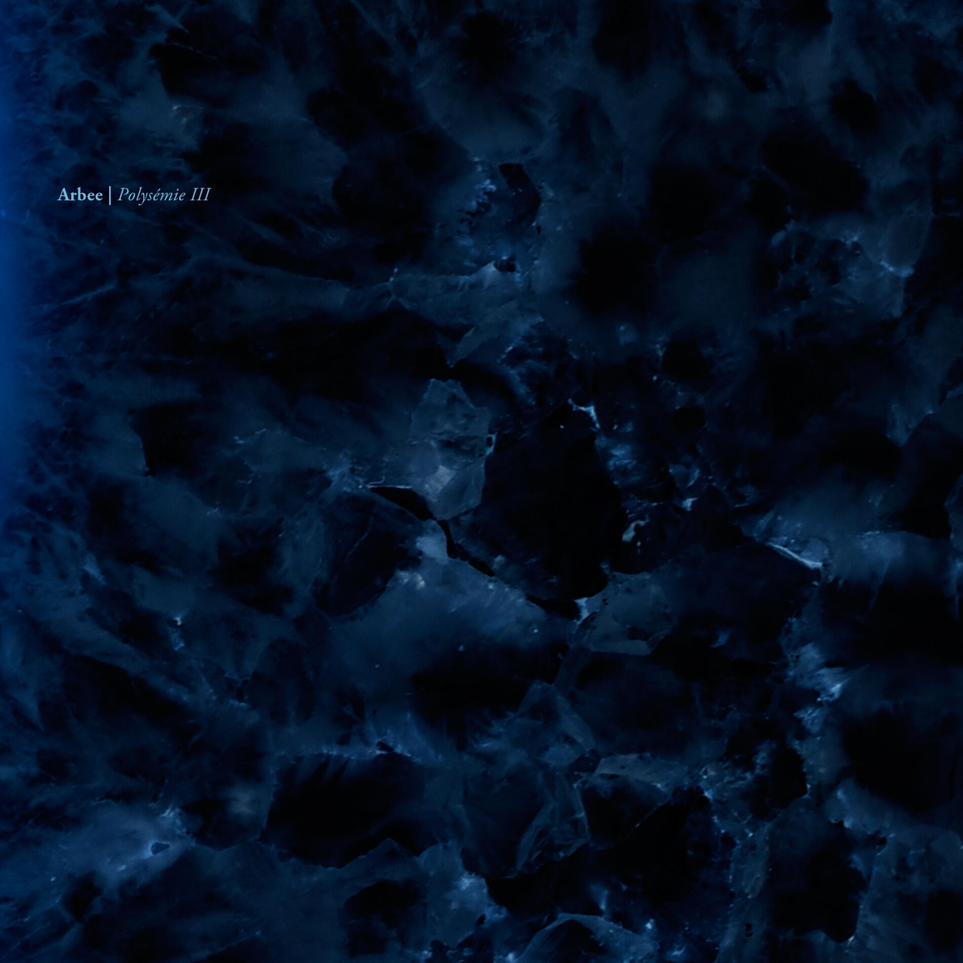Album cover of Polysémie III