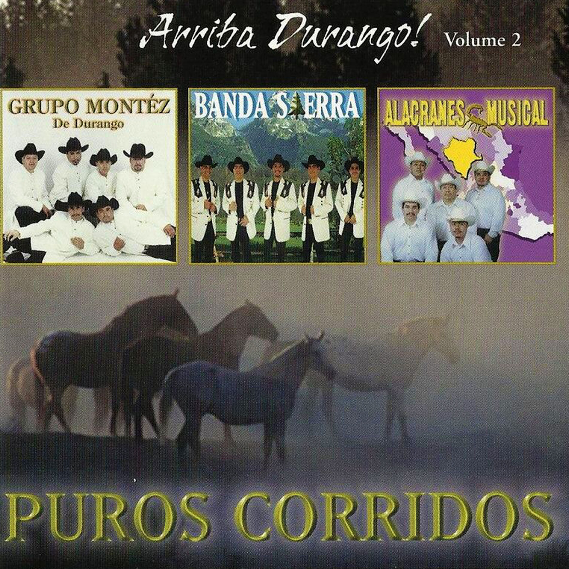 Album cover of Arriba Durango, Vol. 2