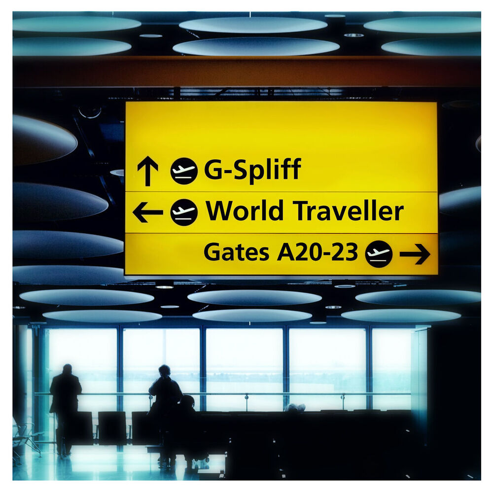Picture of World Traveler