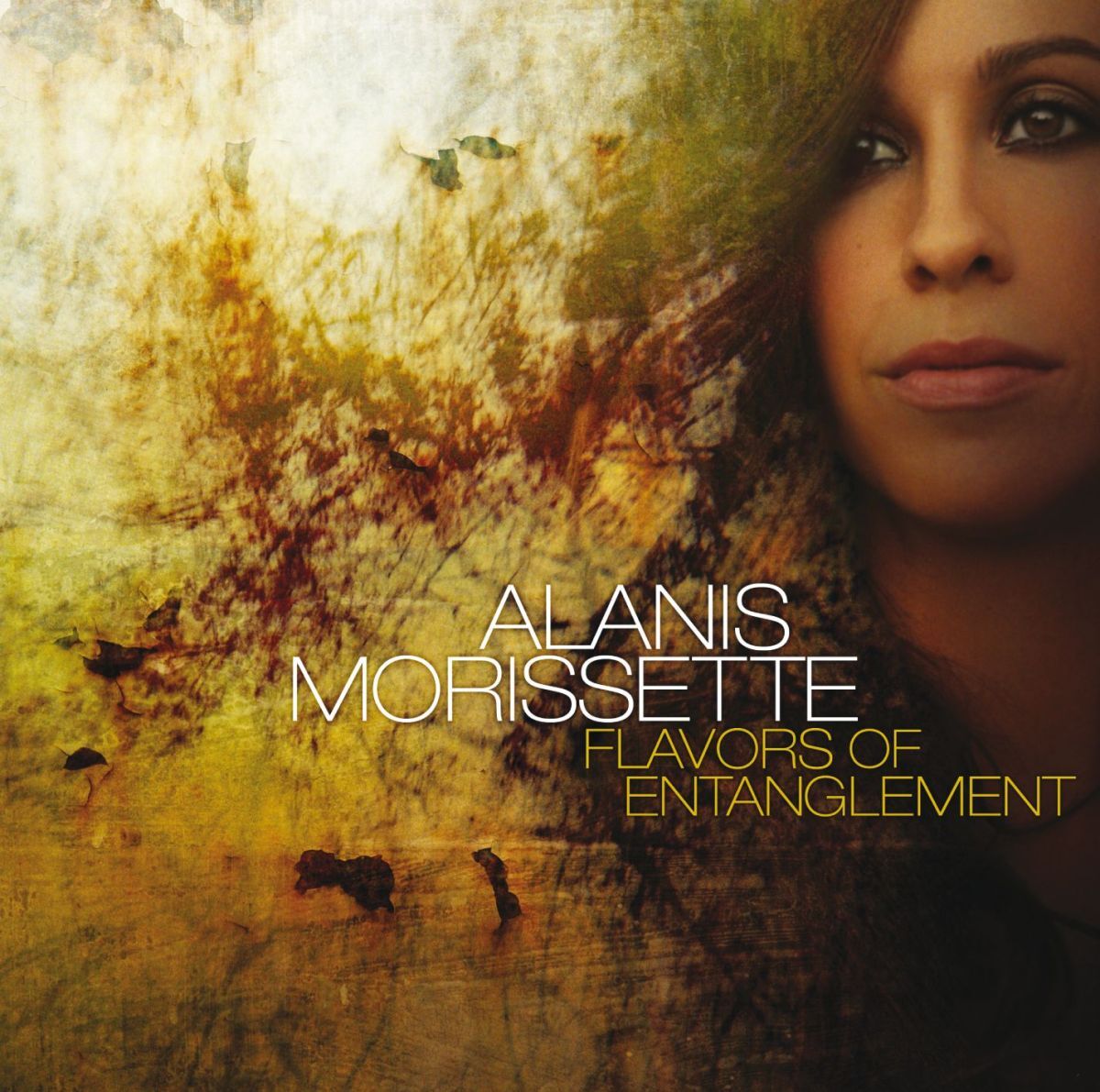 Album cover of Not as We