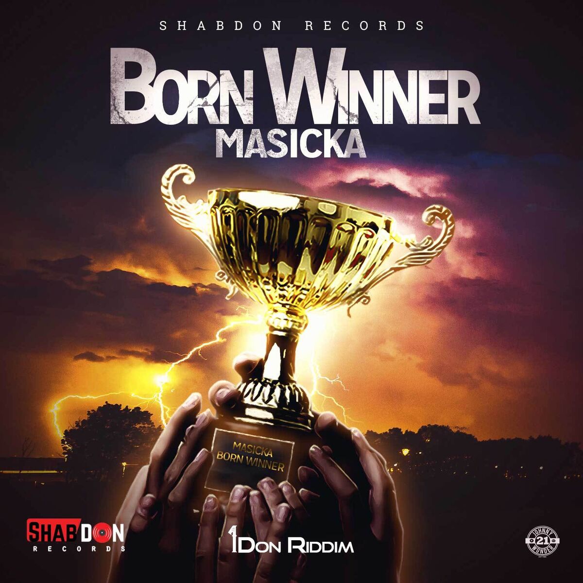 Album cover of Born Winner