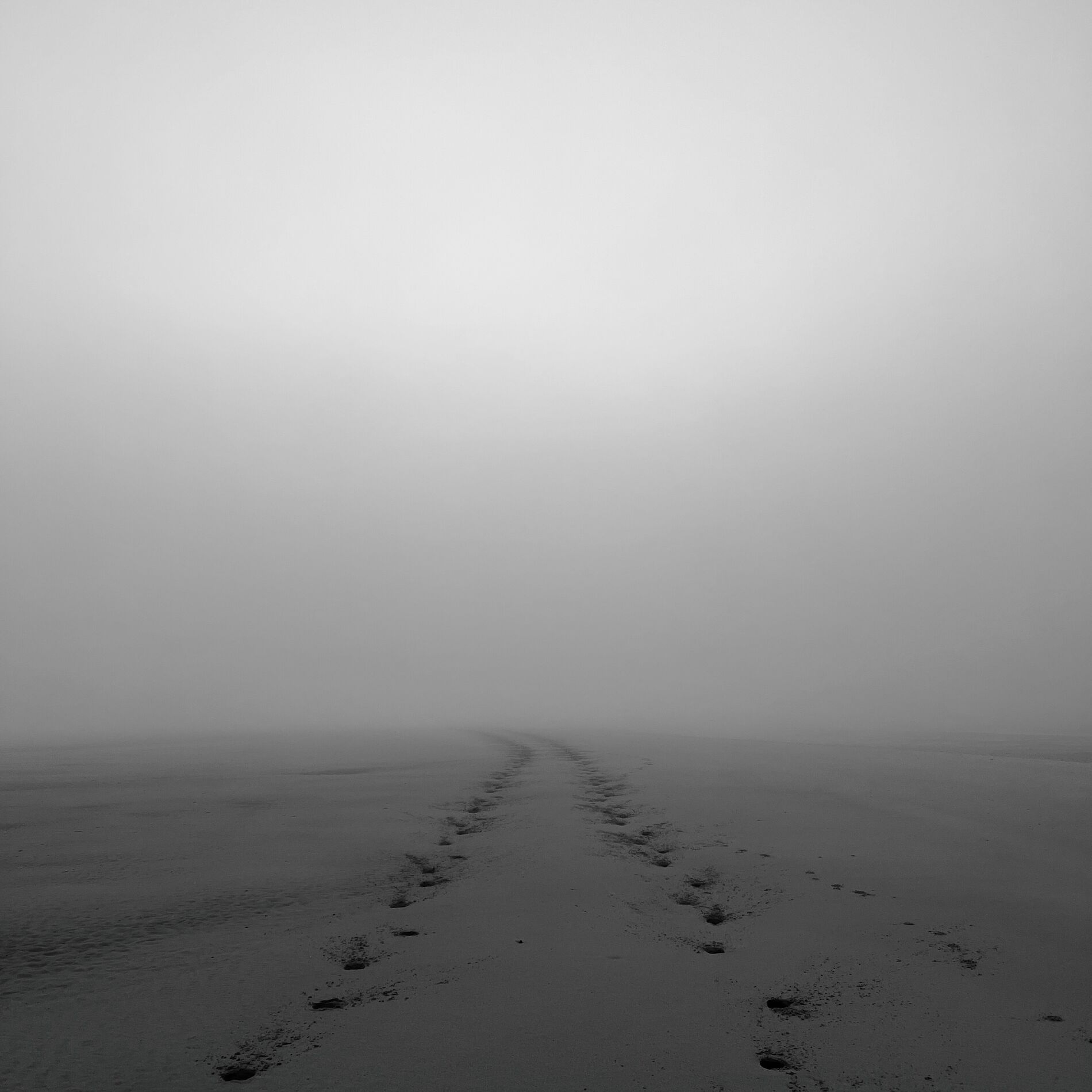 Album cover of ghost (feat. HUMAN)