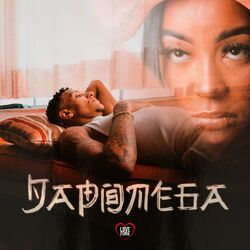 Cover of Japonega