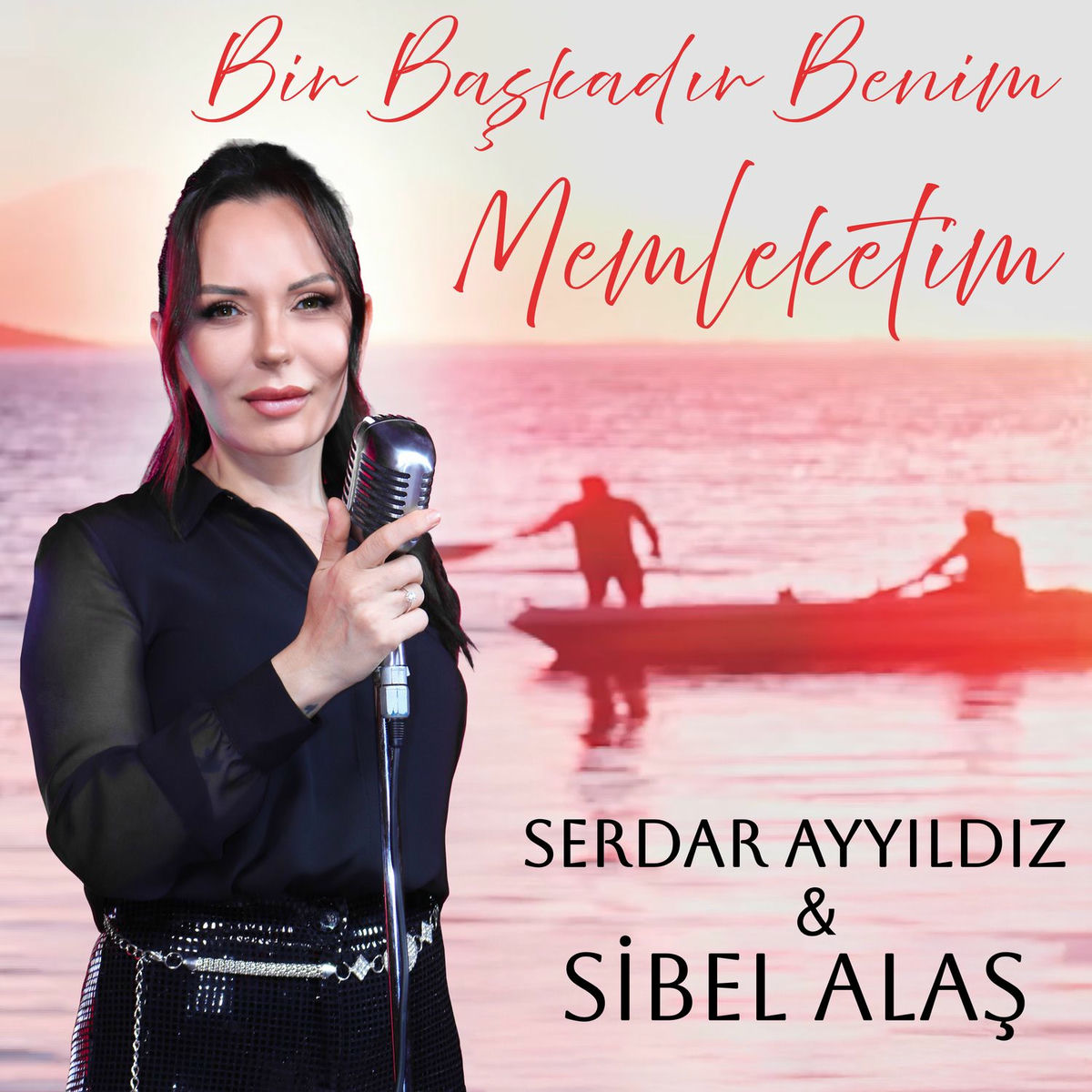 Album cover of Bir Başkadır Benim Memleketim