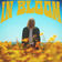In Bloom by Joy Oladokun album cover