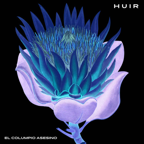 Huir sleeve