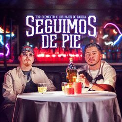 Cover of Seguimos De Pie