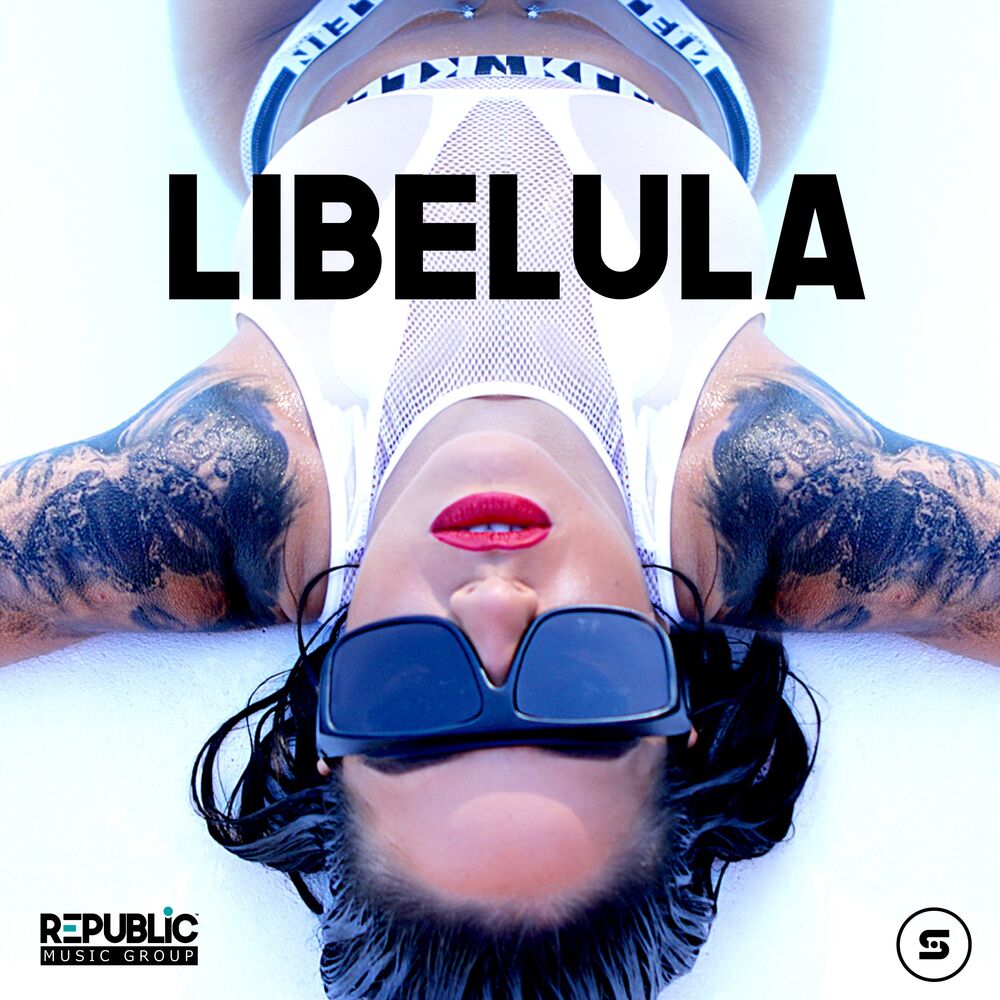 Picture of Libelula