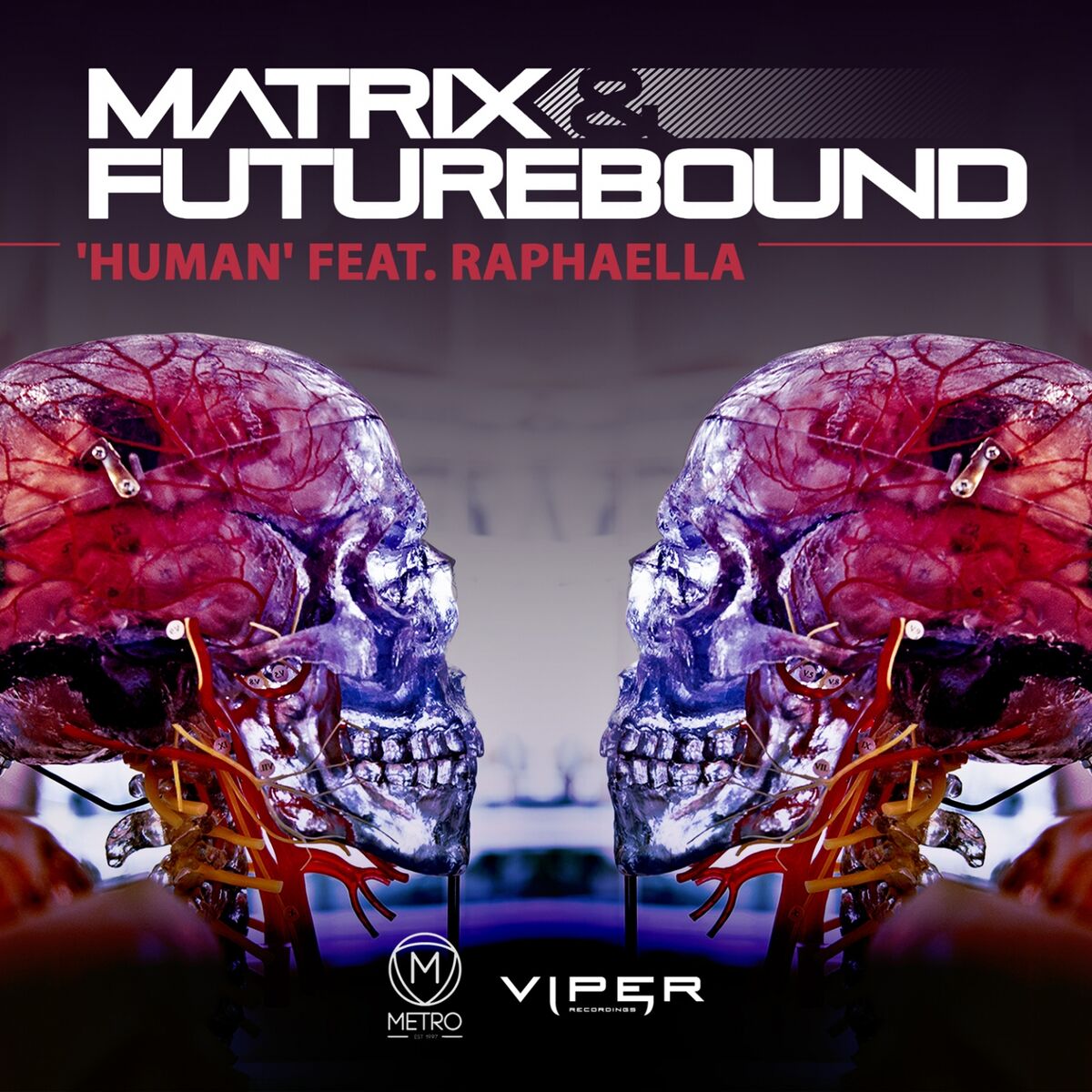 Album cover of Human
