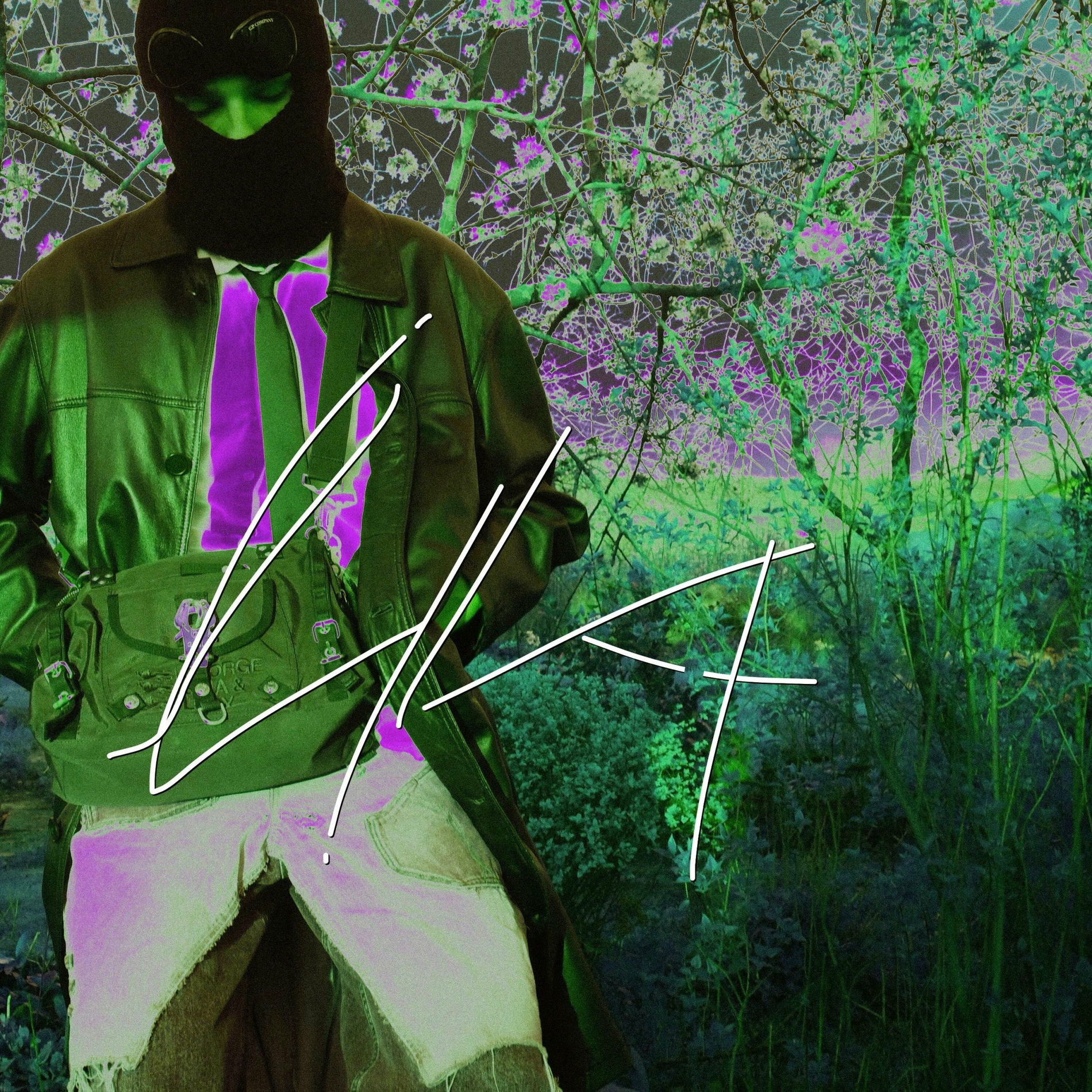 Album cover of L1LA