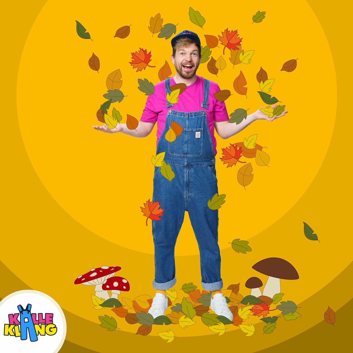 Album cover of Wir lassen Drachen steigen - In den Herbst mit Kalle Klang