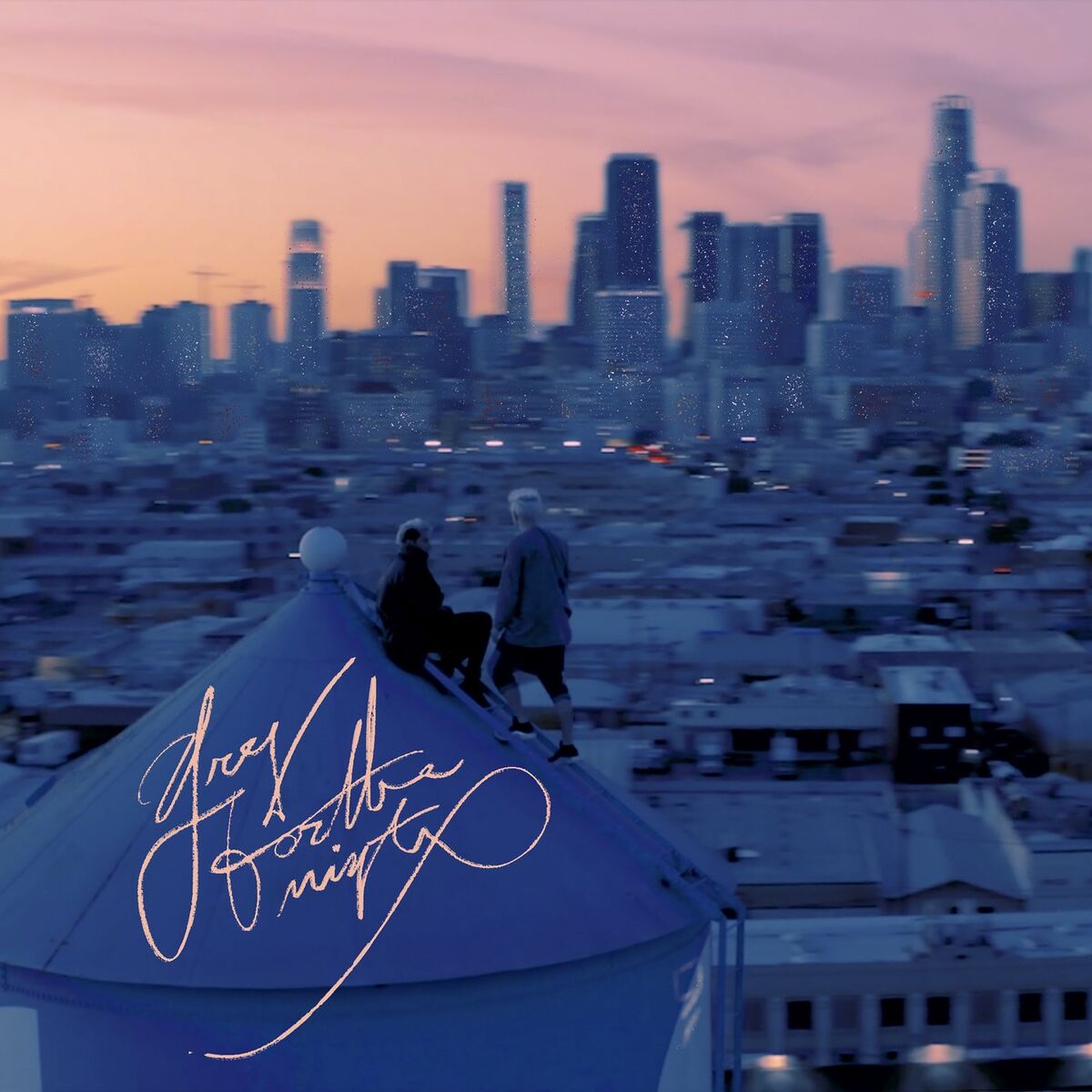 Album cover of For The Night