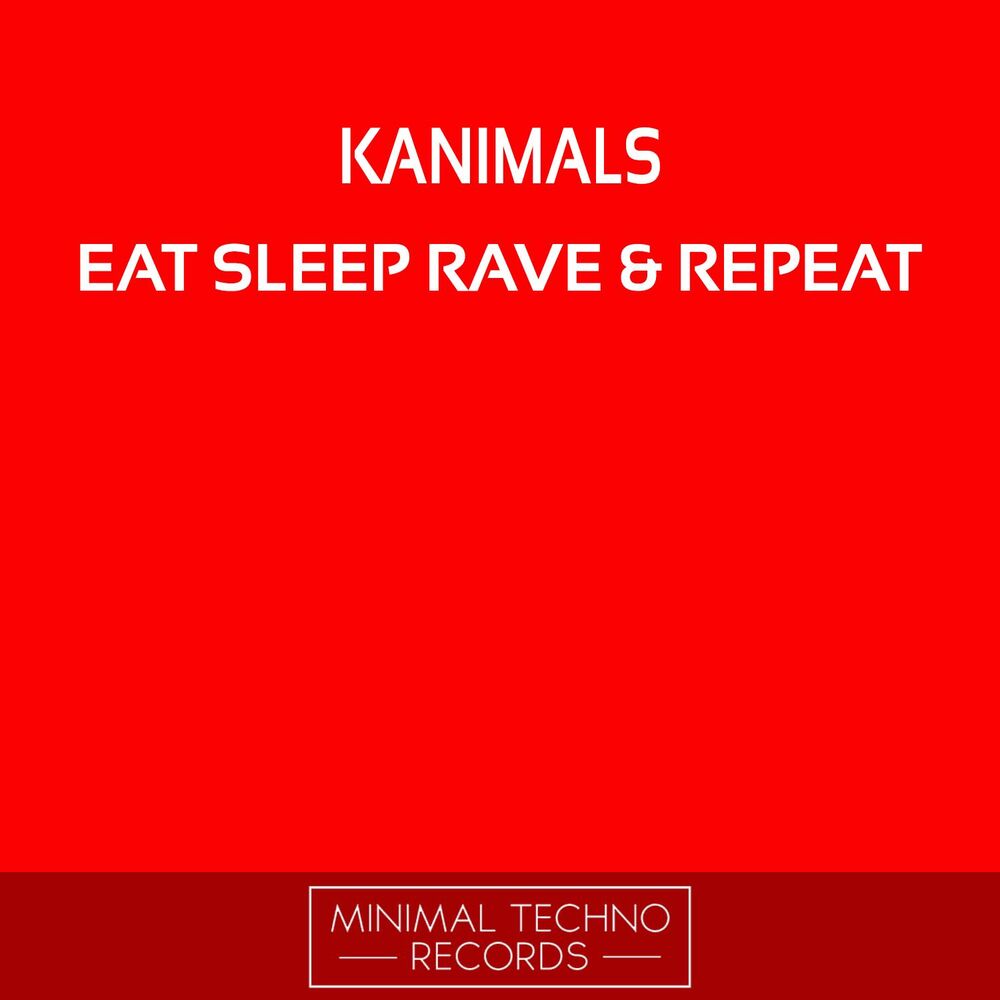Picture of Eat Sleep Rave & Repeat