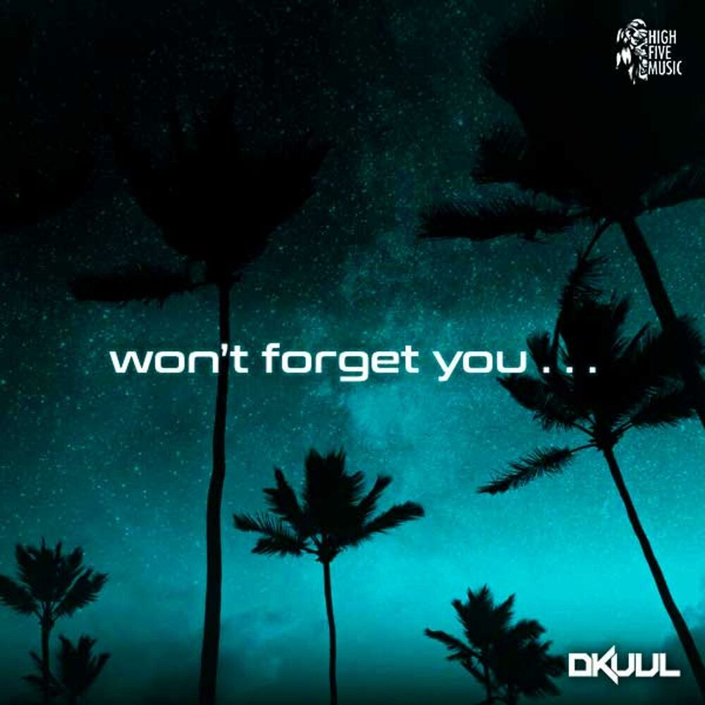 Picture of Won't Forget You