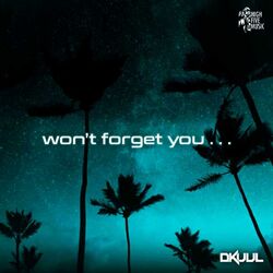Cover of Won't Forget You
