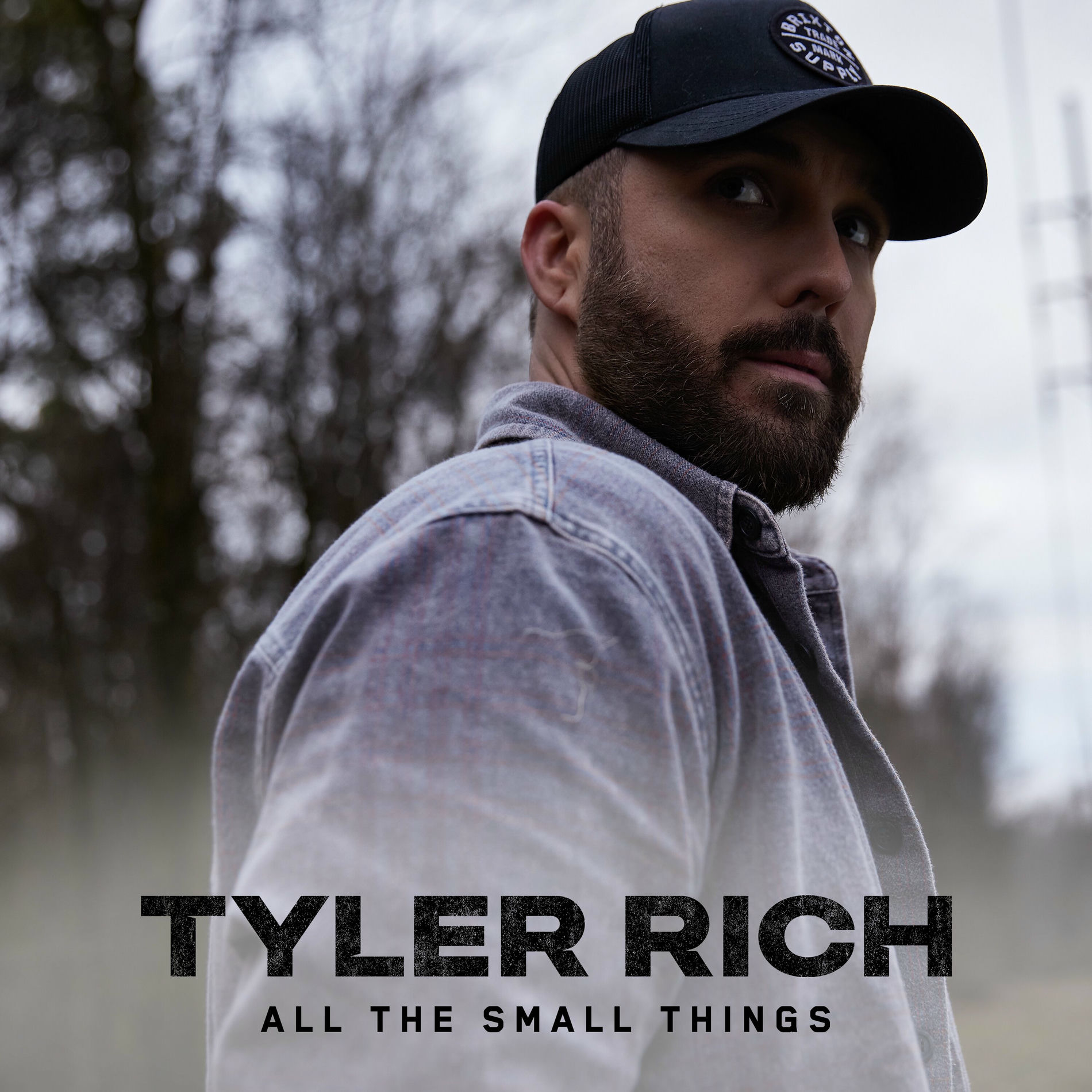 Album cover of All The Small Things