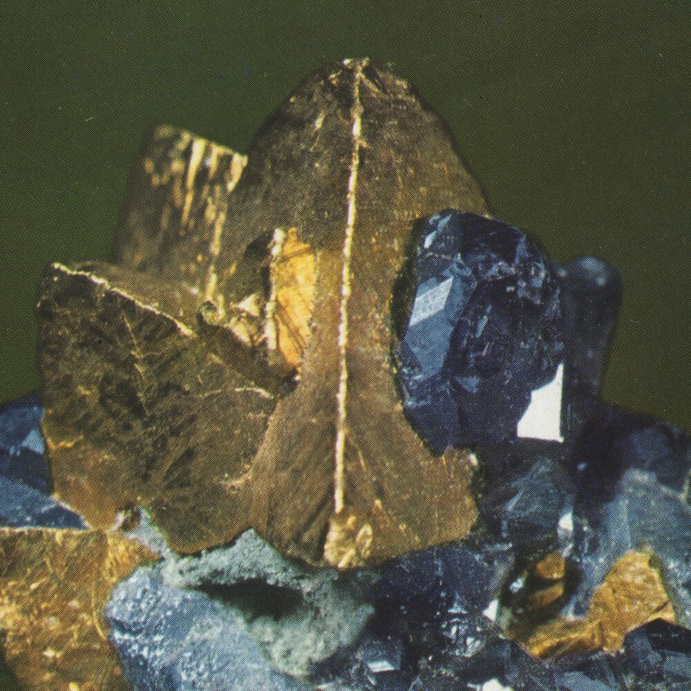 Picture of Nacre