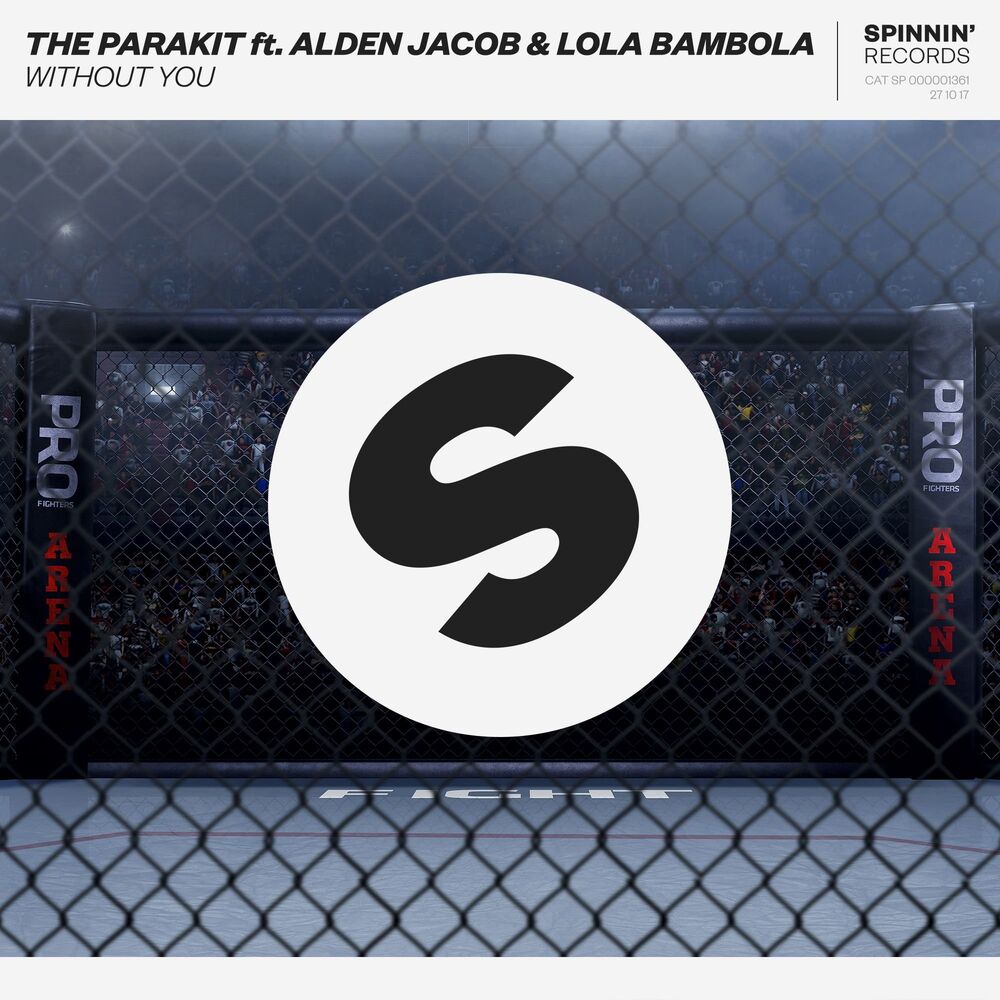 Picture of Without You (feat. Alden Jacob & Lola Bambola)