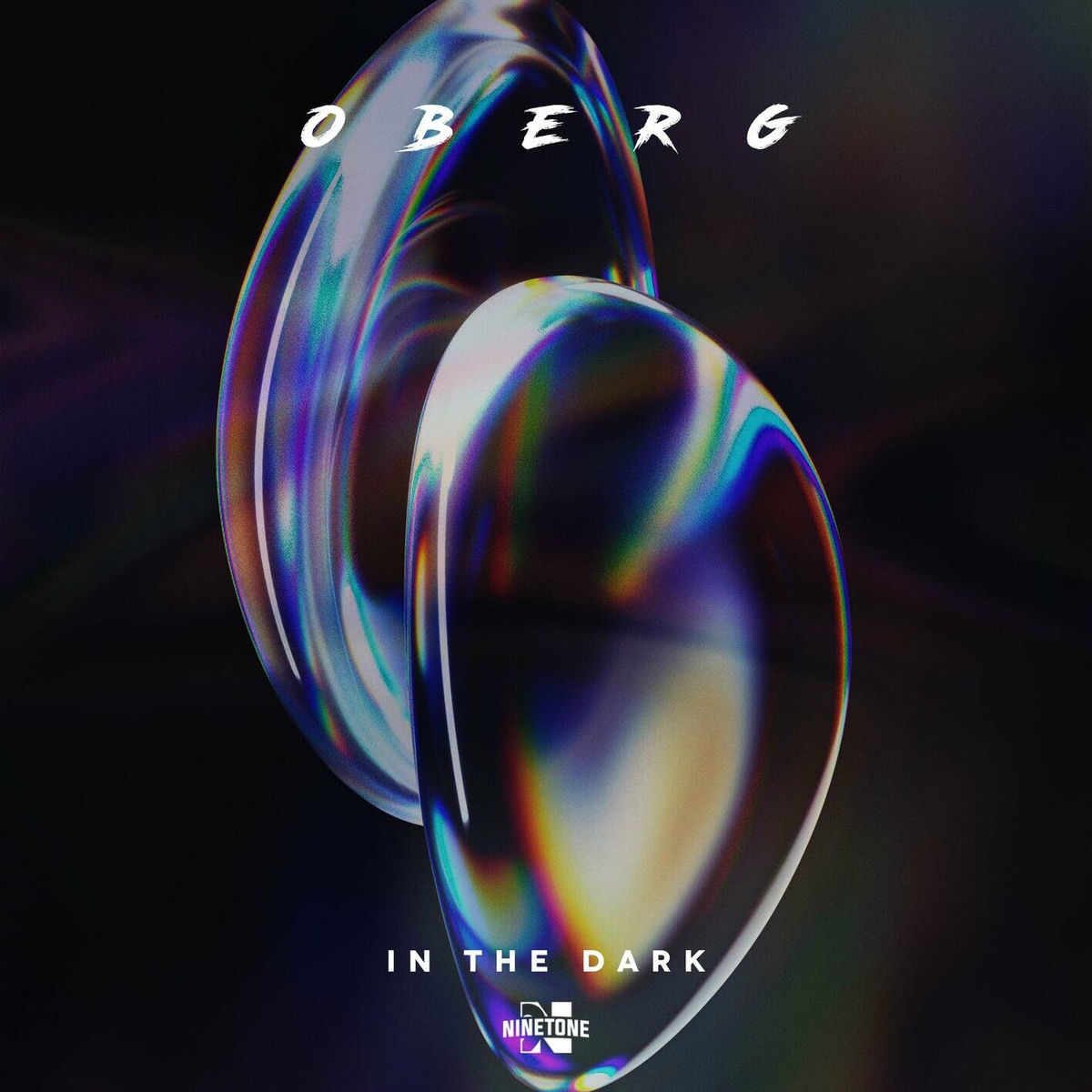Album cover of In The Dark