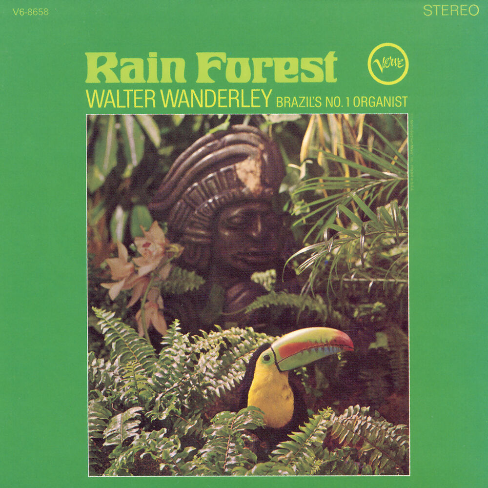 Picture of Rain Forest