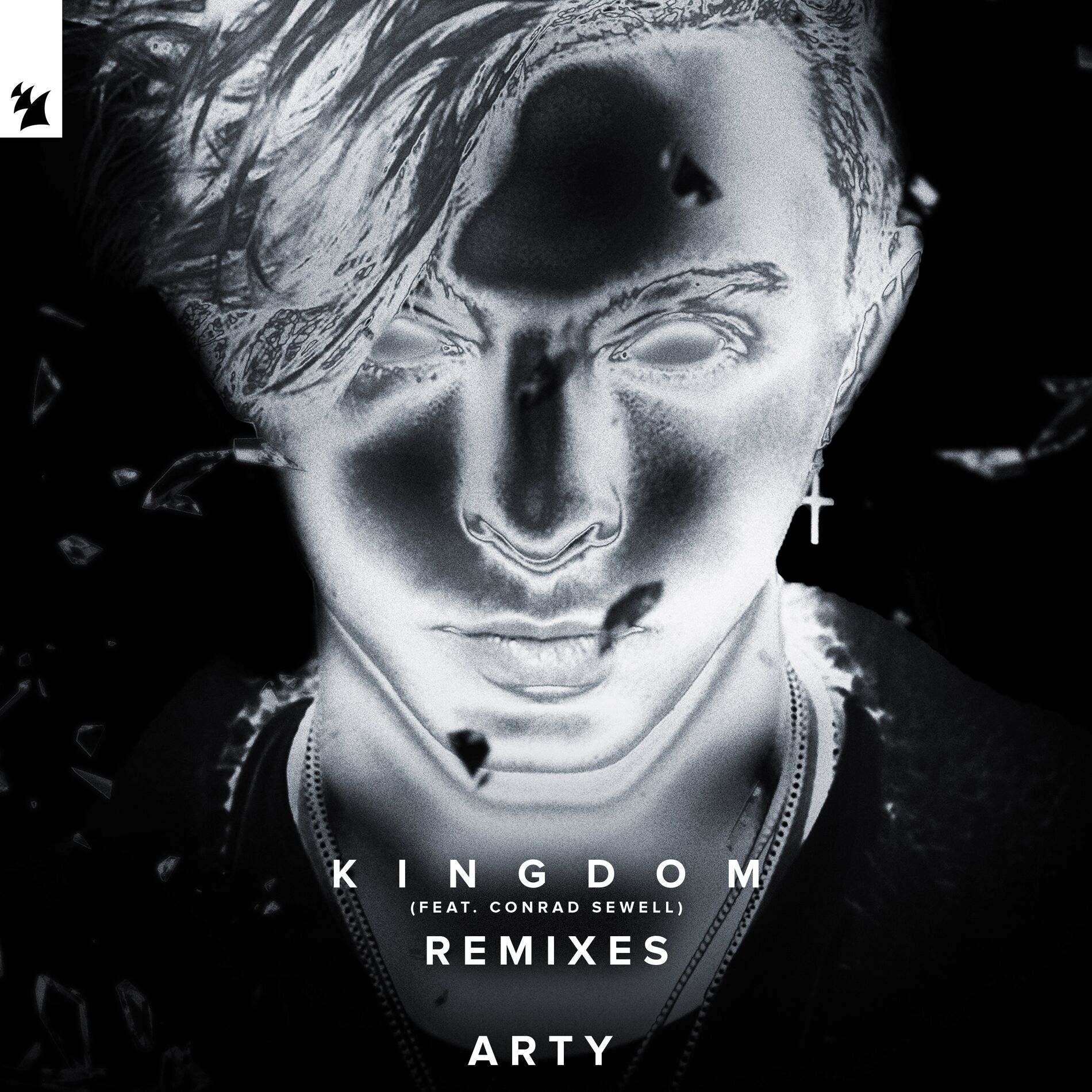 Album cover of Kingdom (Remixes)