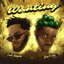 Cover of Wanting