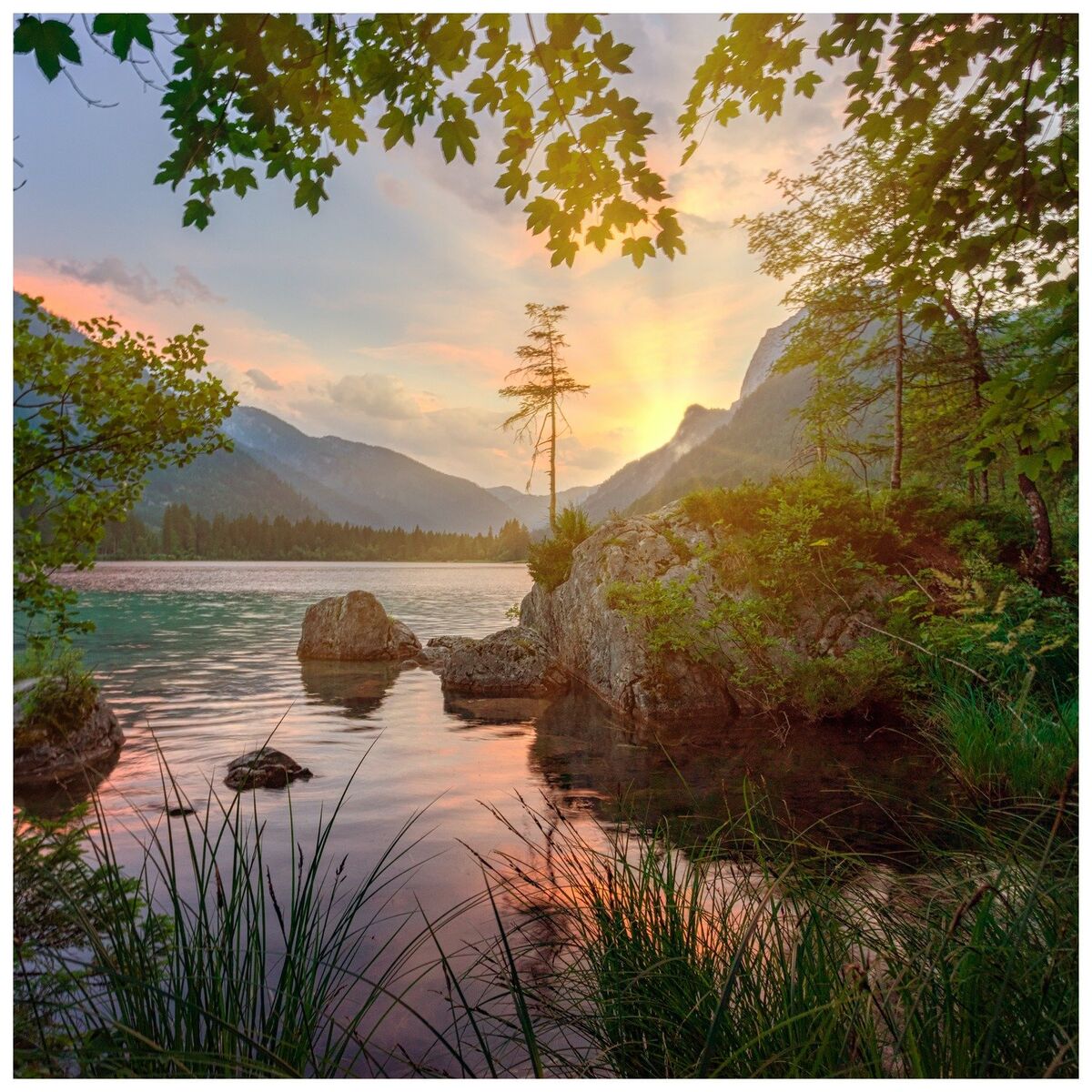 Album cover of Face to Face