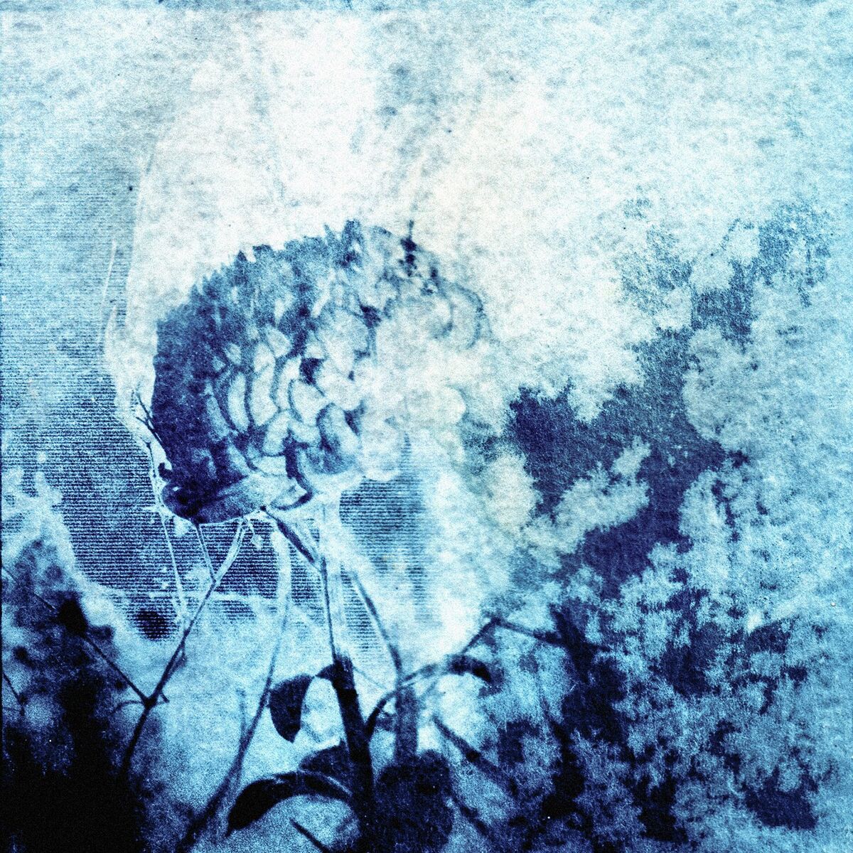 Album cover of Set Me On Fire