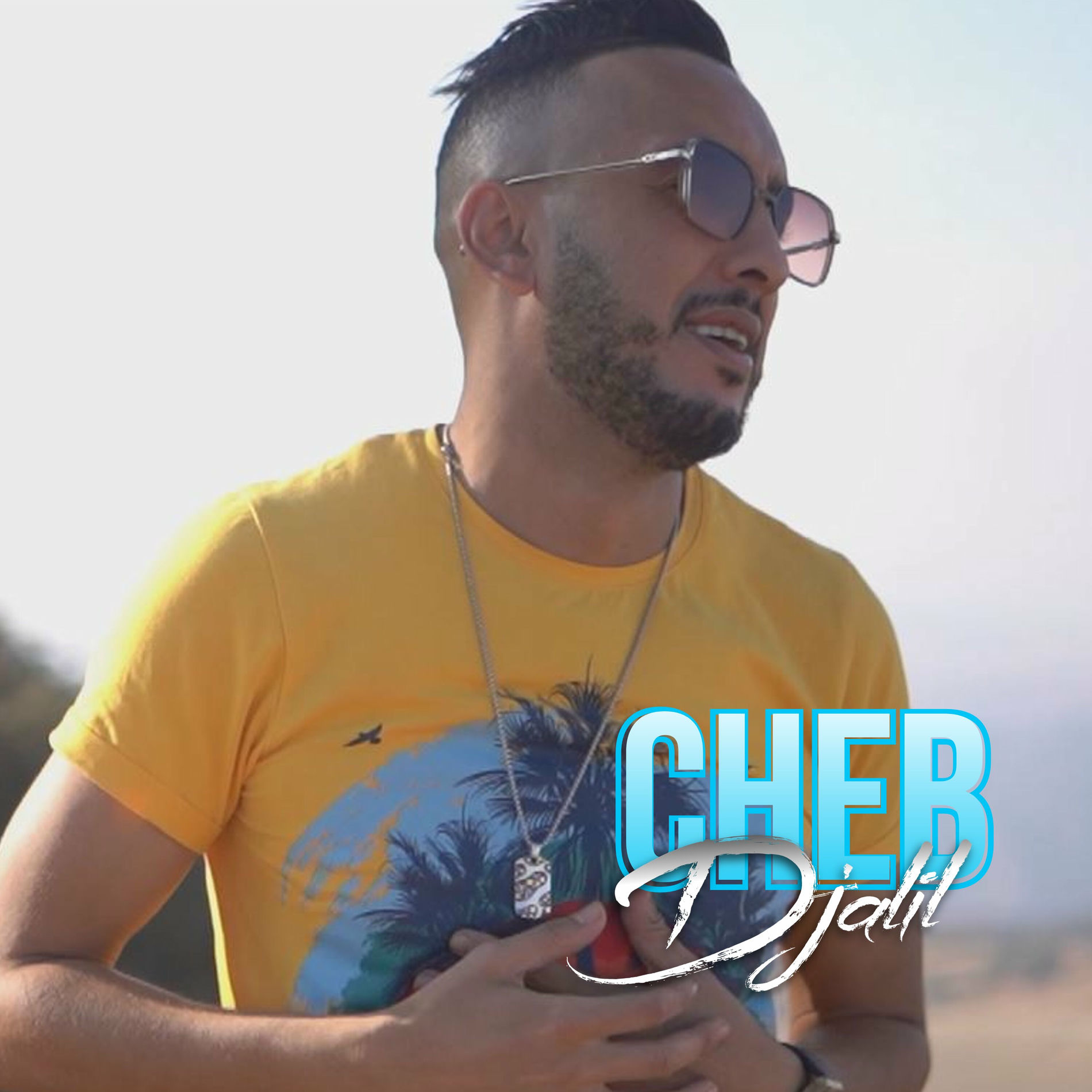 Album cover of LOKAN ANDI