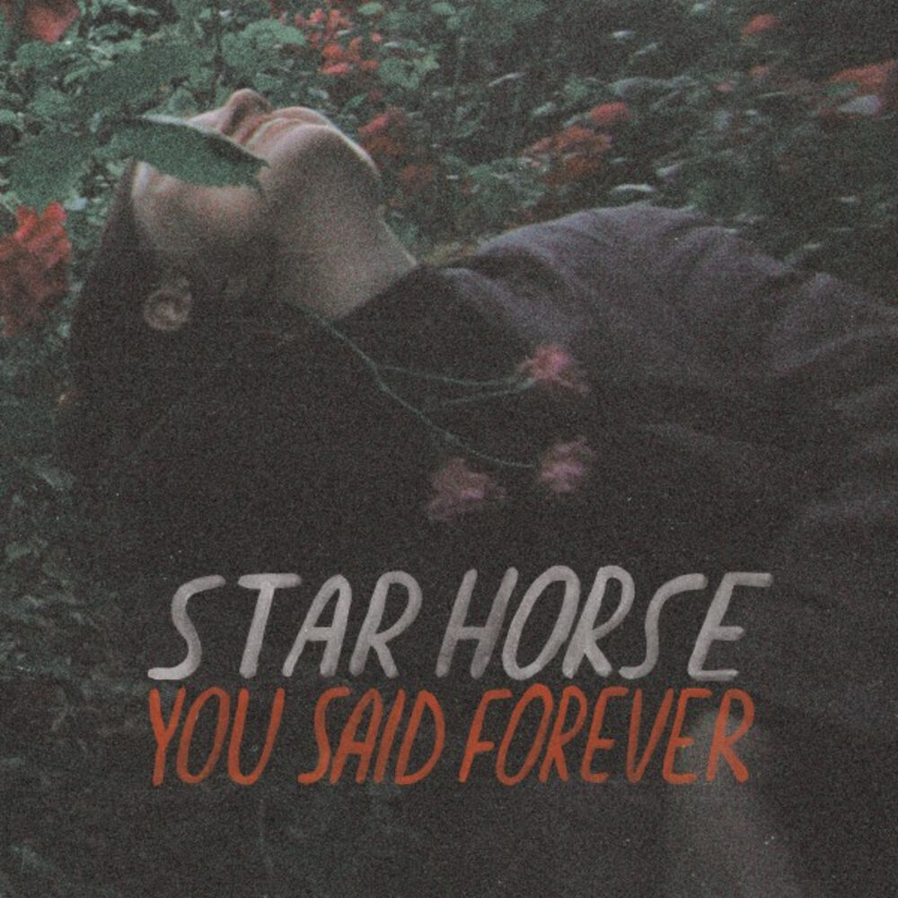 Picture of You Said Forever