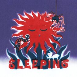 Cover of Sleeping