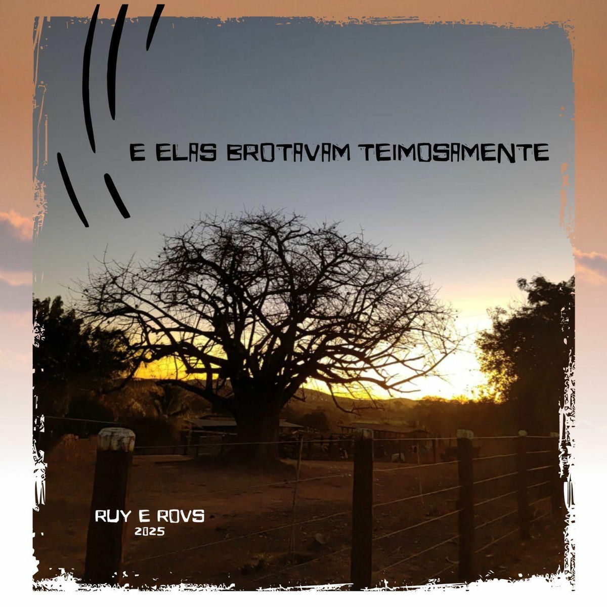Album cover of E elas brotavam teimosamente